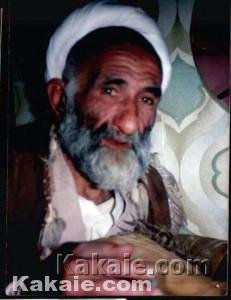 nejabat hafez